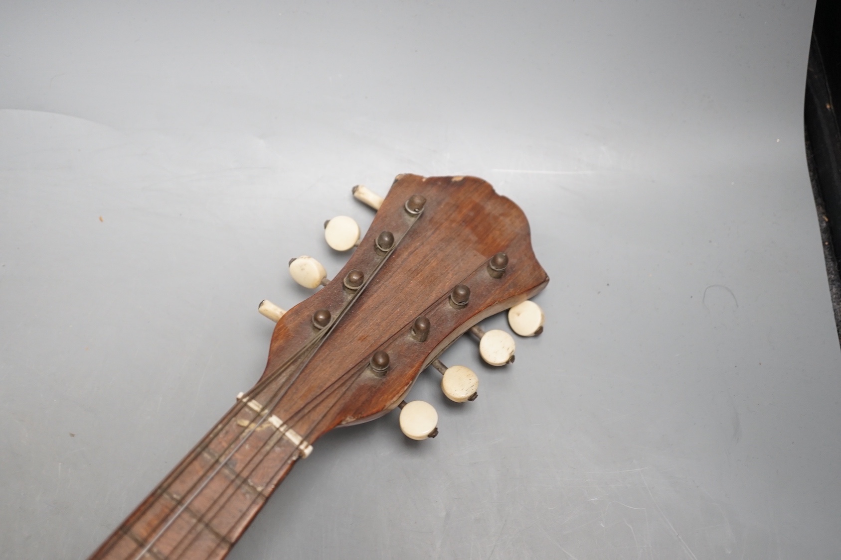 A 19th century mandolin
